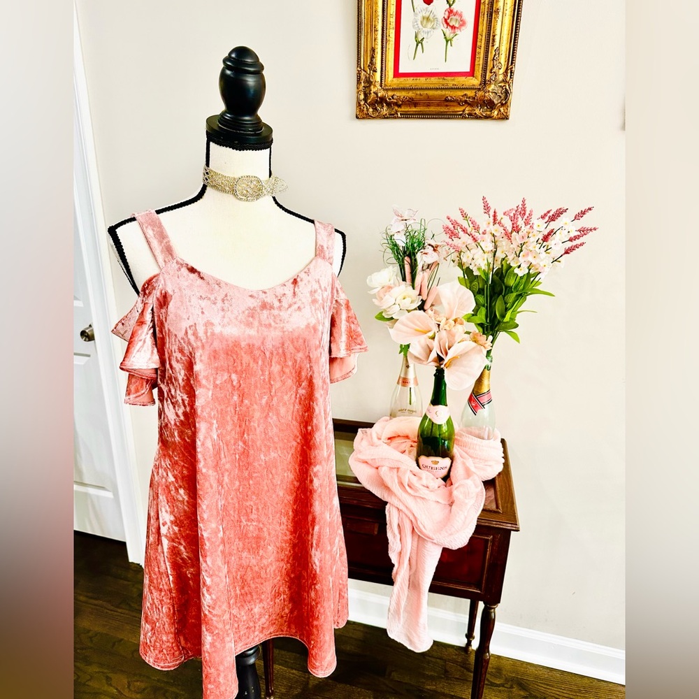 Stunning Mauve Pink MIAMI Brand Velvet Dress Size Small!
